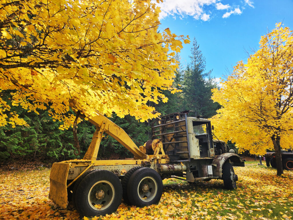 Outdoor Equipment Displays